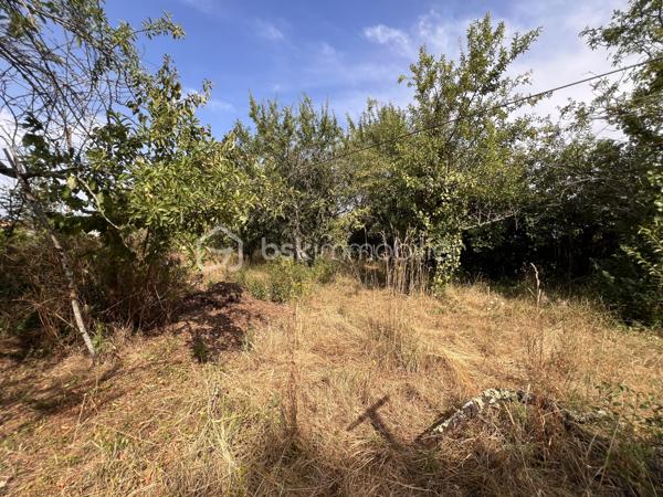 Très beau potentiel pour cette maison familiale de 213 m2, avec jardin située à Couhé, commune de Valence-en-Poitou, dans un environnement calme et agréable, à proximité de tous les commerces.

Cette maison aux volumes généreux offre de nombreuses possibilités d’aménagement.

Au rez-de-chaussée, vous découvrirez une véranda, une première pièce de vie, une cuisine, une chambre, une salle d’eau, un WC indépendant ainsi qu’une buanderie. Une cave et un vaste sous-sol complètent ce niveau et offrent de nombreux espaces de rangement.

À l’étage, la maison propose une lumineuse pièce de vie avec séjour cathédrale et cheminée, et donnant sur la terrasse. Une cuisine aménagée, quatre chambres, un bureau pouvant être transformé en chambre, une salle de bain avec douche et baignoire, un WC.

À l’extérieur, vous profiterez d’un joli jardin, idéal pour les moments de détente en famille.

La maison dispose d’une chaudière à bois complétée par une chaudière au fioul. Elle est équipée de fenêtres en simple vitrage, raccordée au tout-à-l’égout et bénéficie d’une toiture en bon état.

Grâce à ses beaux volumes, à ses nombreuses pièces et à ses multiples possibilités d’aménagement, cette maison représente une belle opportunité pour créer un lieu de vie à votre image.

Un véritable atout de cette maison : sa configuration permet d’envisager facilement la création de deux logements indépendants. Une opportunité idéale pour accueillir deux familles, exercer une activité avec un espace dédié ou développer un projet locatif offrant un excellent potentiel de rentabilité.

Pour organiser une visite contactez-nous du lundi au samedi de 08H00 à 20H00.

Faire vite !