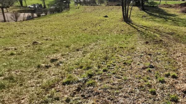 Terrain constructible - Cazals Terrrain constructible