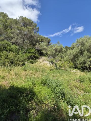 Terrain à vendre 13 374 m² Gorbio