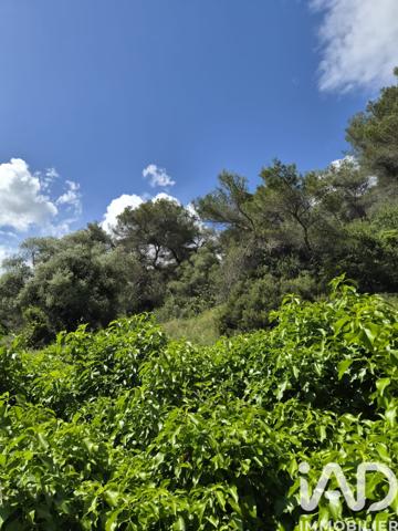 Terrain à vendre 13 374 m² Gorbio