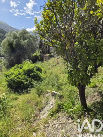 Terrain à vendre 13 374 m² Gorbio
