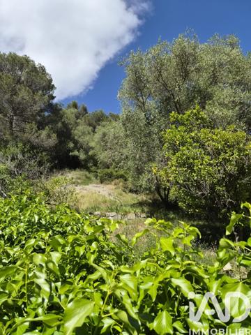 Terrain à vendre 13 374 m² Gorbio
