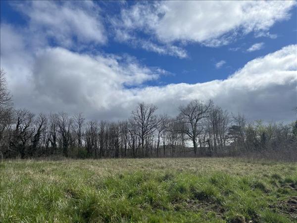 Terrain à vendre |  Trélissac |  26794 m²