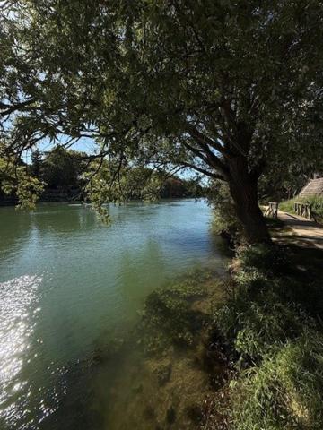 Maison familiale vue apaisante sur la Marne
