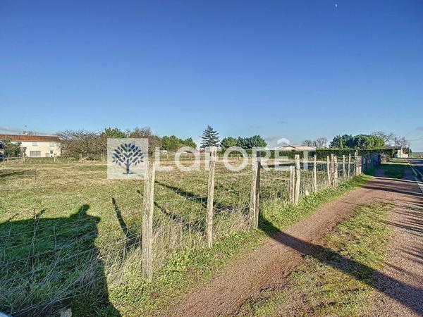 Achat terrain près de PLAINE ET VALLEES - 2028 m² - 31 640 €