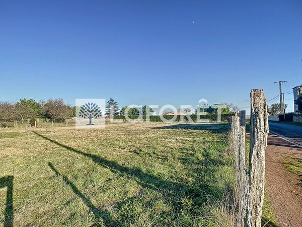Achat terrain près de PLAINE ET VALLEES - 2028 m² - 31 640 €