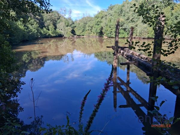TERRAIN AVEC ETANG