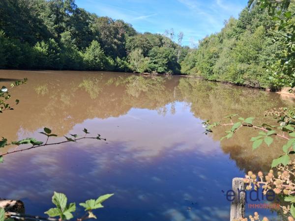 TERRAIN AVEC ETANG