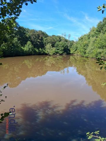 TERRAIN AVEC ETANG