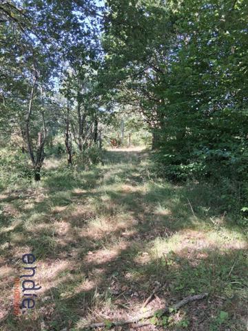 TERRAIN AVEC ETANG