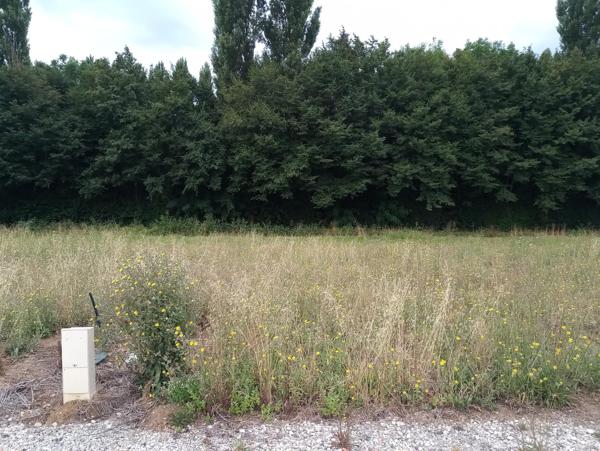 magnifique terrain constructible