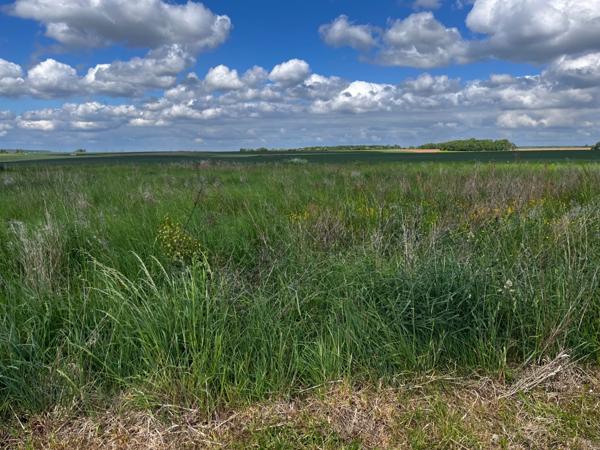 Terrain à vendre de 950,00 m² PORCHEUX (60)