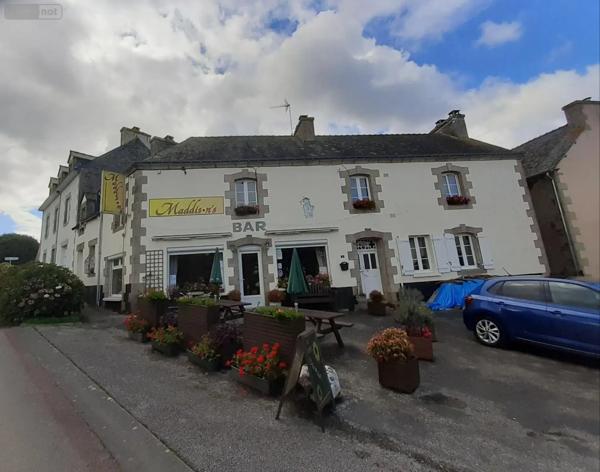 Achat - Fonds et/ou murs commerciaux | Local mixte (Professionnel/Habitation) Sainte-Brigitte 56480 5 pièces 209 m 2 186 m 2