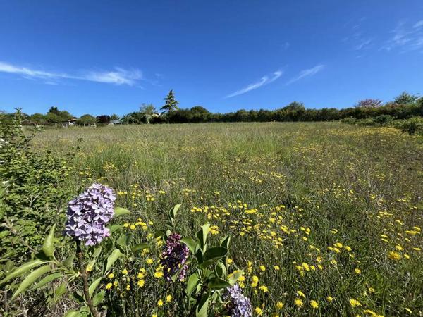 Terrain à vendre |  Lasséran |  1170 m²