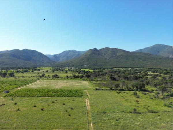 Vente / Terrain agricole