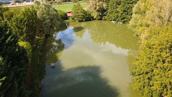 Etang, etang prive, peche, Pougues Les Eaux, proche Paris, cabane, verger