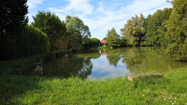 Etang, etang prive, peche, Pougues Les Eaux, proche Paris, cabane, verger