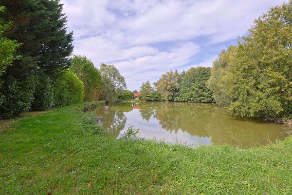 Etang, etang prive, peche, Pougues Les Eaux, proche Paris, cabane, verger