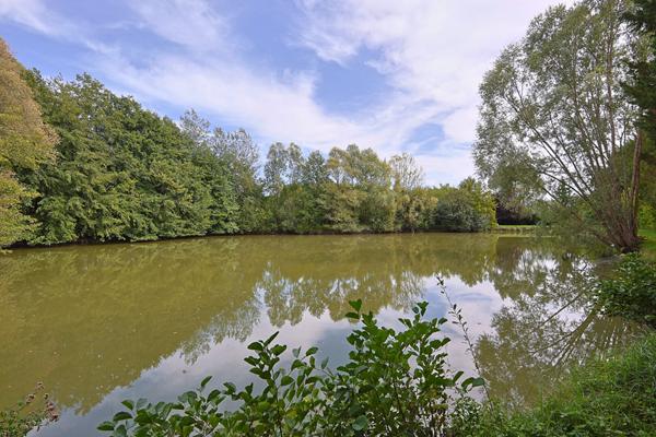 Etang, etang prive, peche, Pougues Les Eaux, proche Paris, cabane, verger