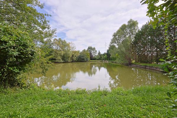 Etang, etang prive, peche, Pougues Les Eaux, proche Paris, cabane, verger