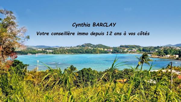 Terrain à LA TRINITE (97220)