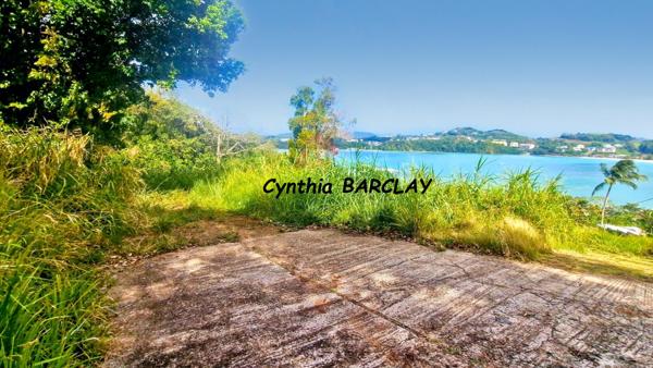 Terrain à LA TRINITE (97220)
