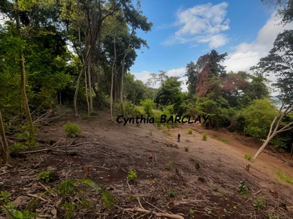 Terrain à LA TRINITE (97220)