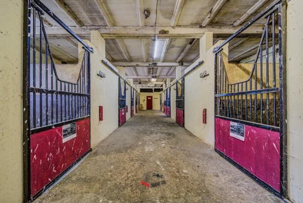 CORPS DE FERME AVEC PLUSIEURS BÂTIMENTS ET LOGEMENTS