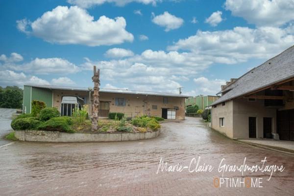 CORPS DE FERME AVEC PLUSIEURS BÂTIMENTS ET LOGEMENTS