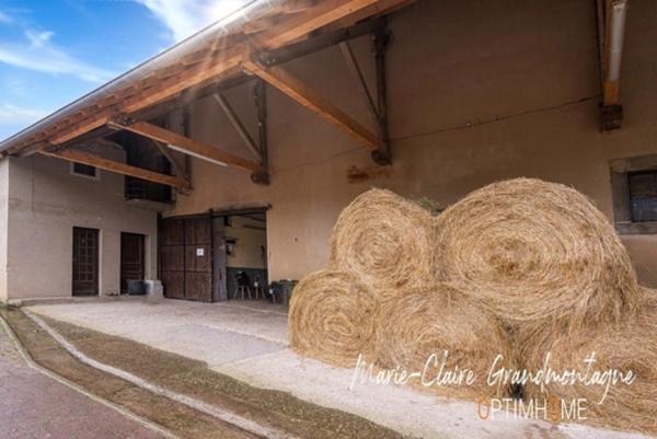 CORPS DE FERME AVEC PLUSIEURS BÂTIMENTS ET LOGEMENTS