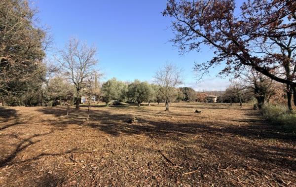 Vente Terrain 940 m2 Cruviers-lascours   