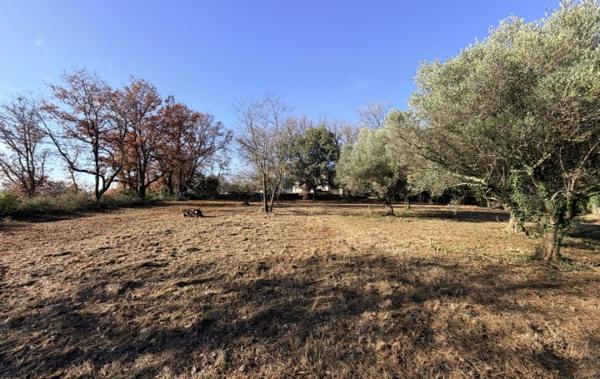 Vente Terrain 940 m2 Cruviers-lascours   
