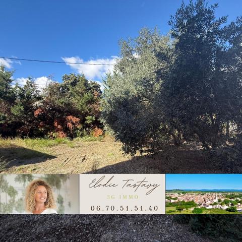 Vente / Terrain constructible