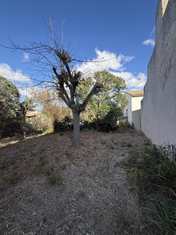 Vente / Terrain constructible