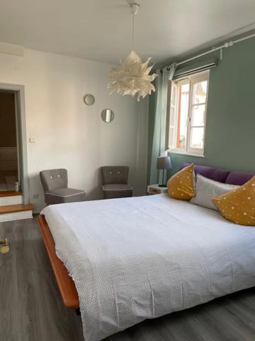 Immeuble à vendre STRASBOURG (67) : 6 Logements + 1 Local Commercial : 436 m2 - Emplacement N° 1 - Quartier Touristique - Coeur de ville - Grande Ile