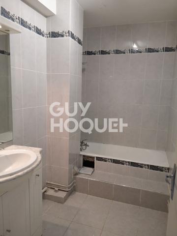 GRAND APPARTEMENT TYPE 3 TRAVERSANT BALCON CAVE TOULOUSE METRO TRAMWAY ET GARE DES ARENES