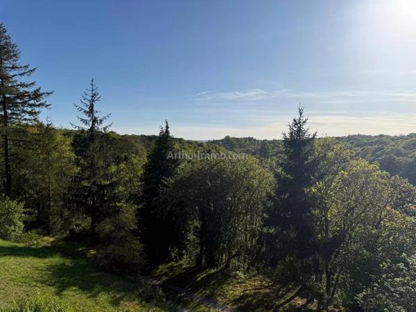 Vente                                                      Maison
                        
                                         215 m2                     à Ploumagoar