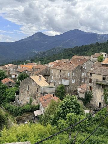 Appartement à VENACO (20231)