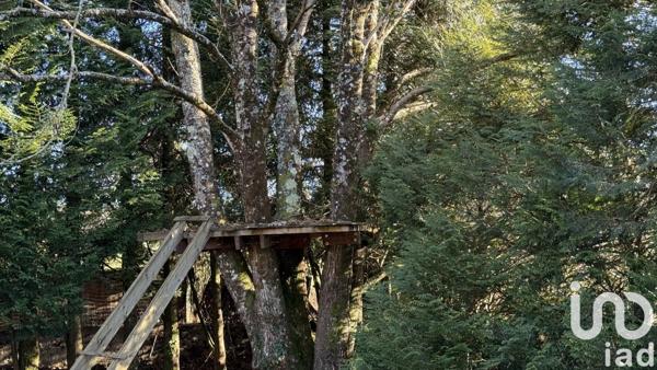 Maison d’architecte 9 pièces de 190 m² à Saint-Sulpice-Laurière (87370)