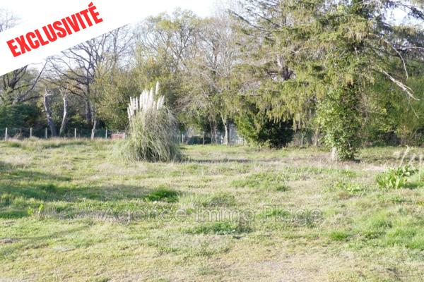 Vente terrain à Saint-Vivien-de-Médoc, Campagne