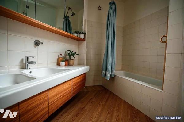 APPARTEMENT A VENDRE PARIS 15ème rue LECOURBE
