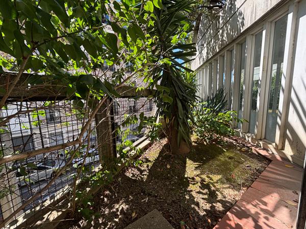 À VENDRE Duplex lumineux avec terrasses, signé Renaudi ? Ivry-sur-Seine