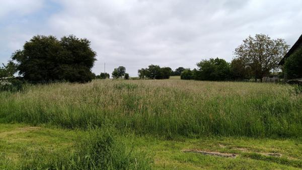 Achat terrain Phalsbourg - 4000 m² - 139 000 €