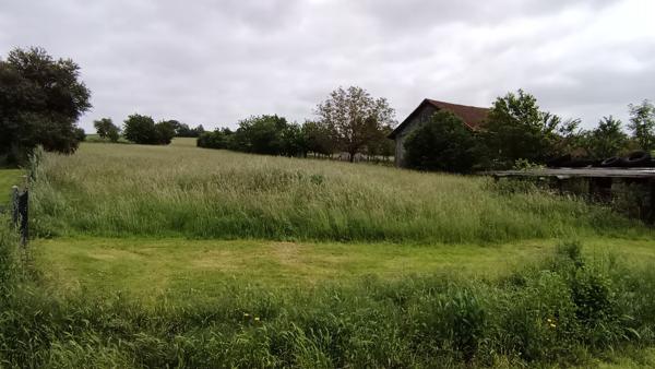 Achat terrain Phalsbourg - 4000 m² - 139 000 €