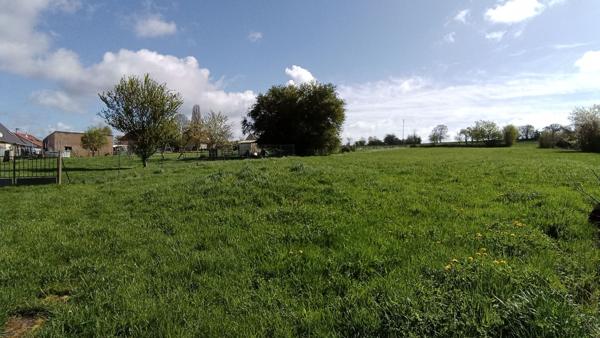 Achat terrain Phalsbourg - 4000 m² - 139 000 €