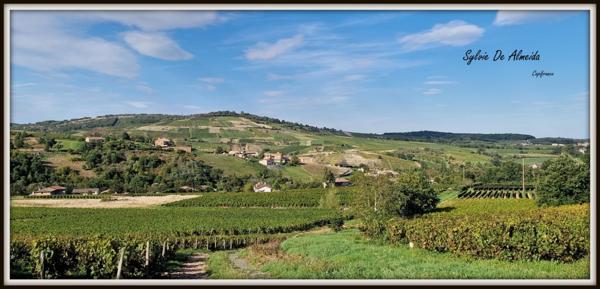 Maison Atypique,325 m²,vue, piscine, pierre, caractère à vendre 6 pièces SAINT VERAND (71)Bourgogne