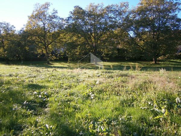 Terrain Libre Constructeur Saint Blaise Du Buis 678 m²