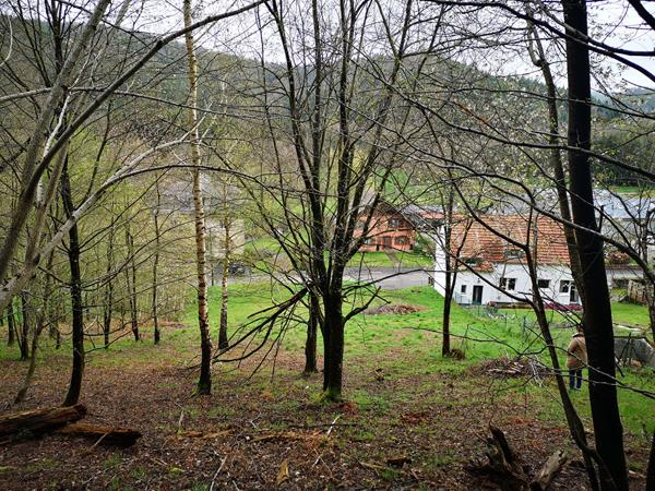 Terrain 2247 m2