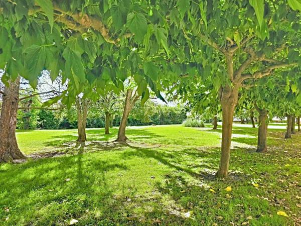 Appartement T3 bis, lumineux et au calme