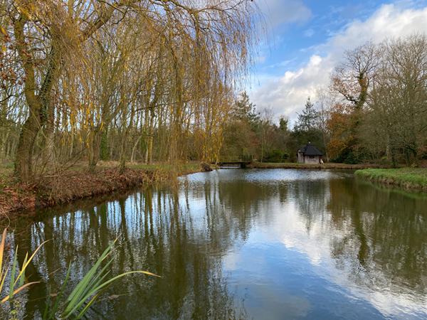 A VENDRE ! maison en pierre à 10min de DINAN de 182 m² avec un magnifique jardin de 3 267m²